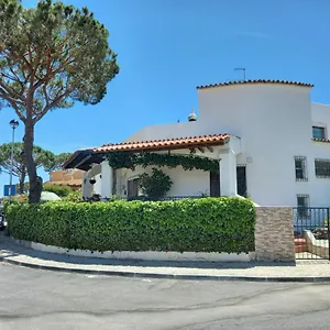 Eucalipto Distretto di Faro