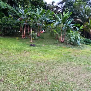 Beauci-turlet , Goyave Guadeloupe